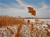 С новым годом!