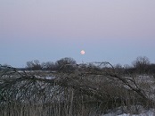 Глухая ночь