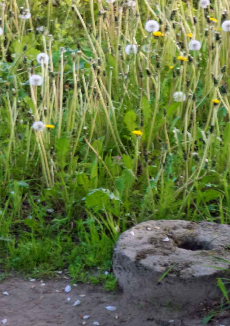 Я с Рус та Вэли ш Шата,