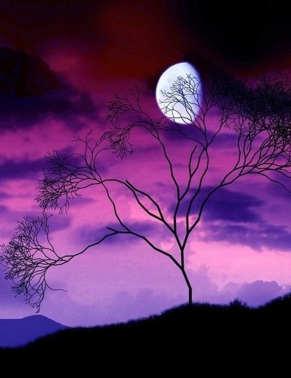 Спокойной ночи