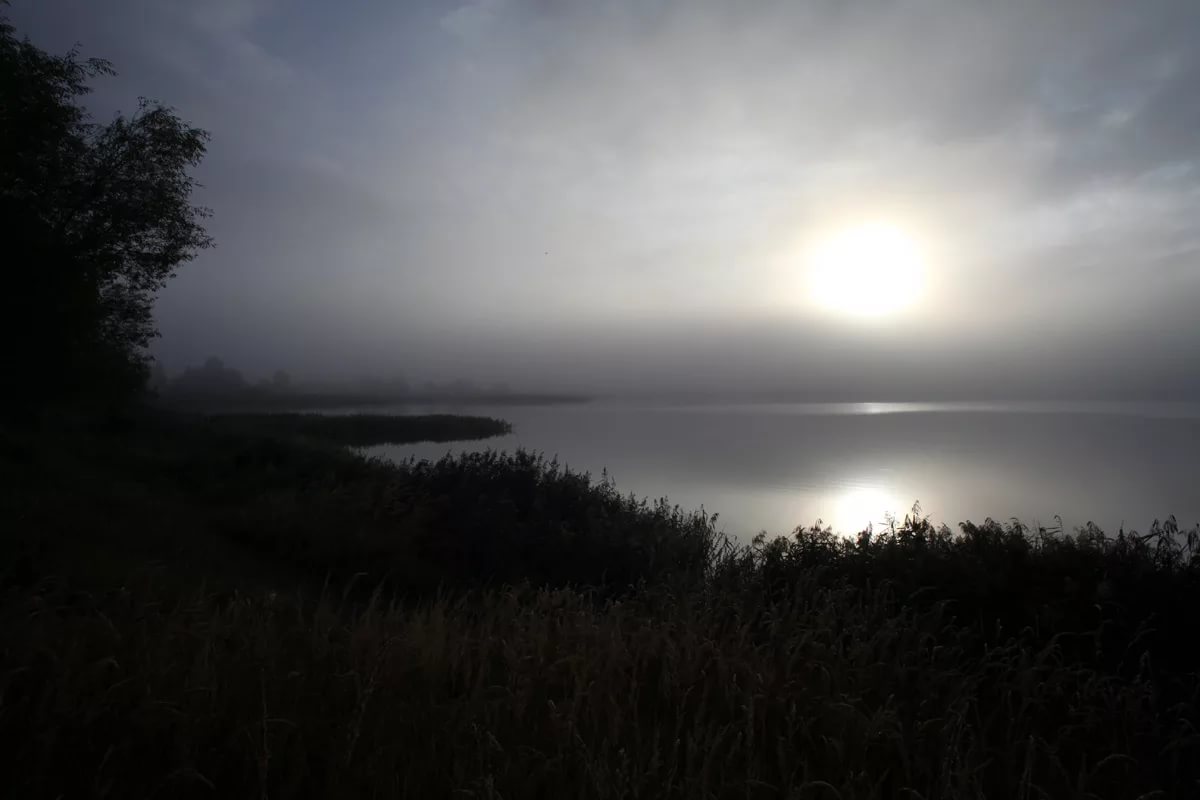 Ветер ли дунул? пастушья дуда ли?.. (Таня Стиль) / Стихи.ру