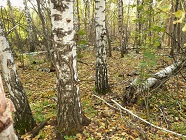 Сентябрь