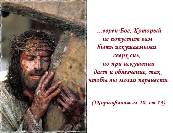 Бог тебя накажет картинки