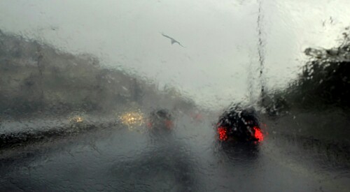 дождем 09. 06. 2017