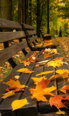 Любви последний миг