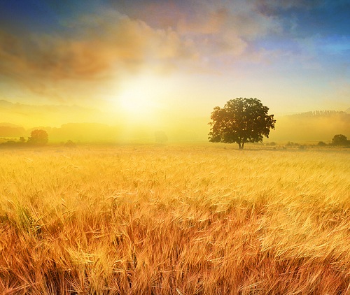 Разудалое жаркое лето!