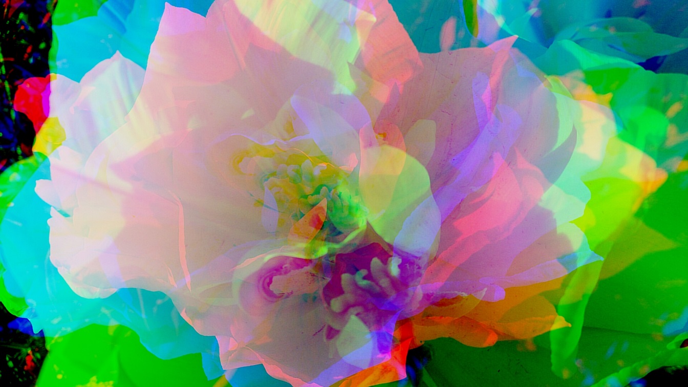 И хочется ругать матом!