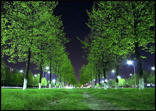 35 Зелёный май. Прекрасный, дивный вечер!