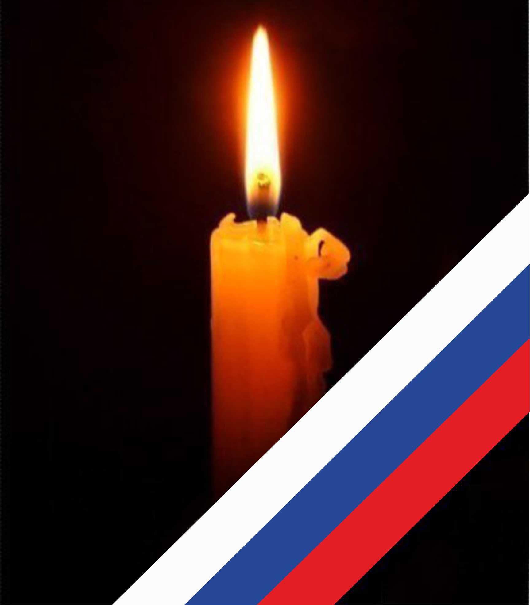 Топи и болота, лесов безбрежный край...