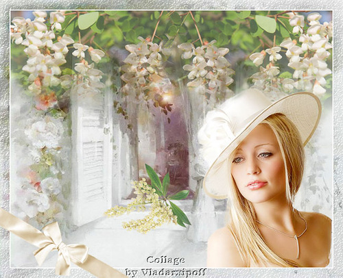 Акация. экс