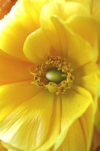 Радость побеждает в судьбе