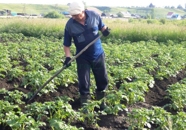 Попей пивка и всё пройдёт