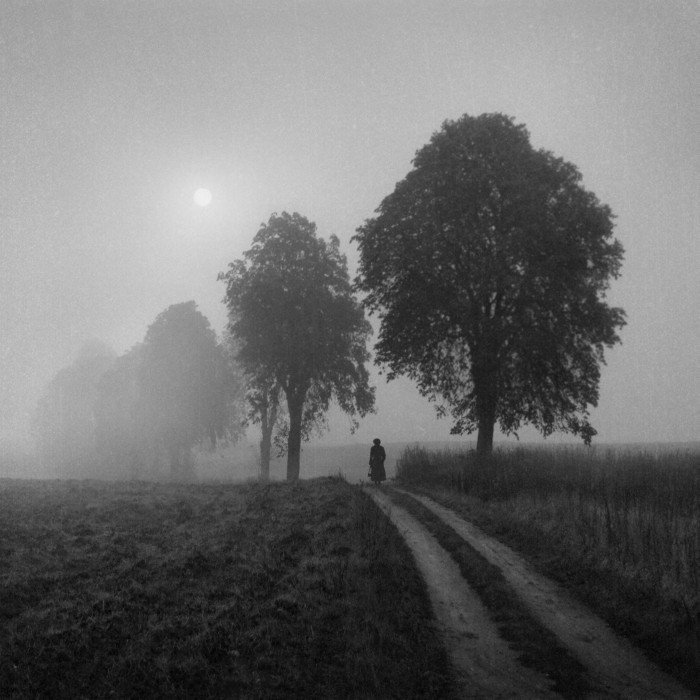 В этом мире