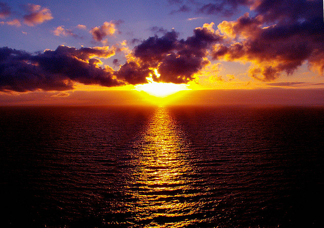 В чём сахар?