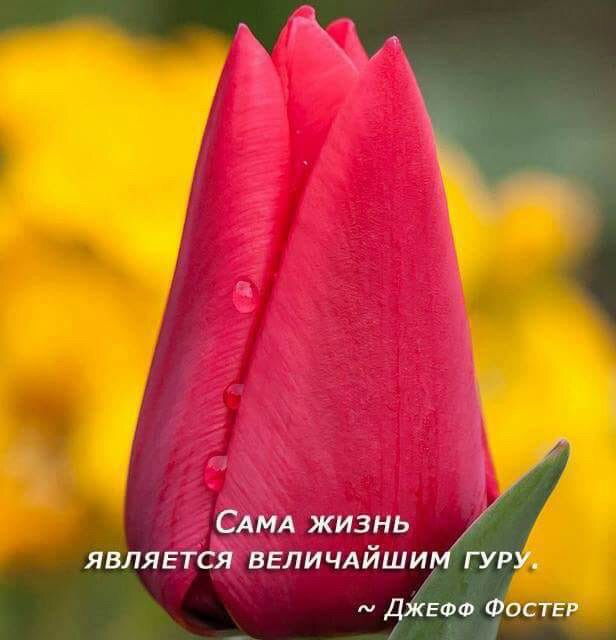 Радость зарождения!