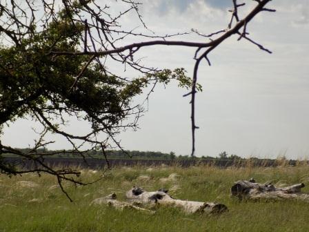 Застывшее время