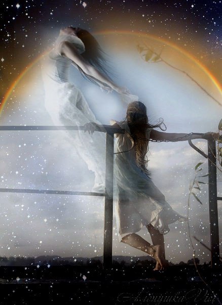 Белой птицей