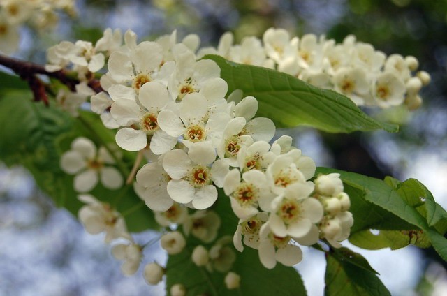 Опять похолодание