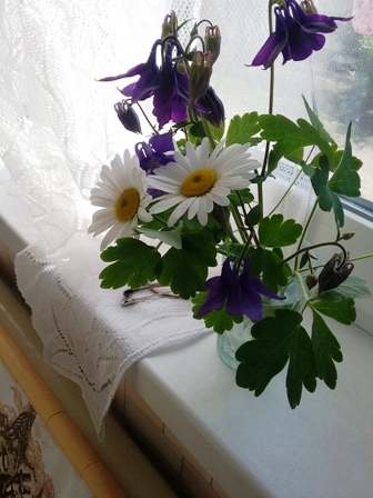 24мая. 2017г. Веселинка Стойкович