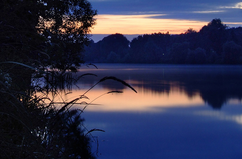 Дневник разлуки-11. Одинокий соловей