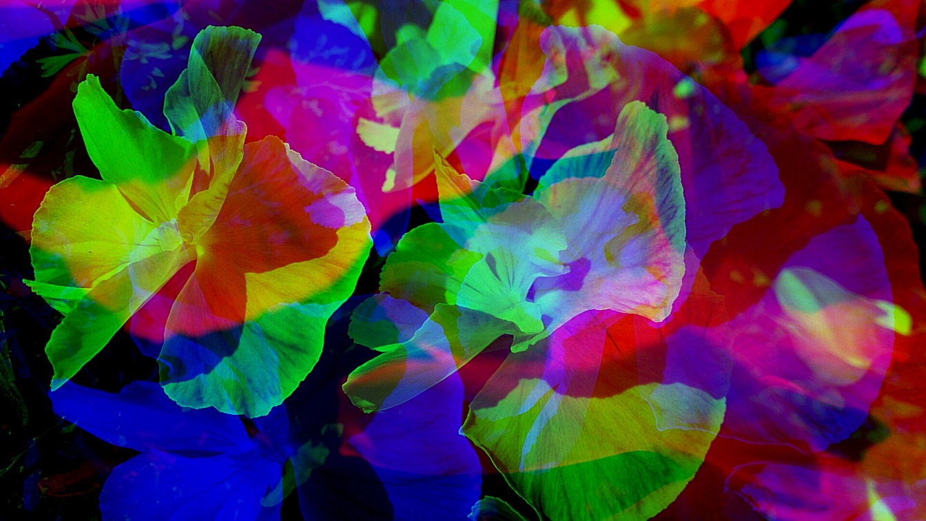 Дама смыслами осенними воспета!