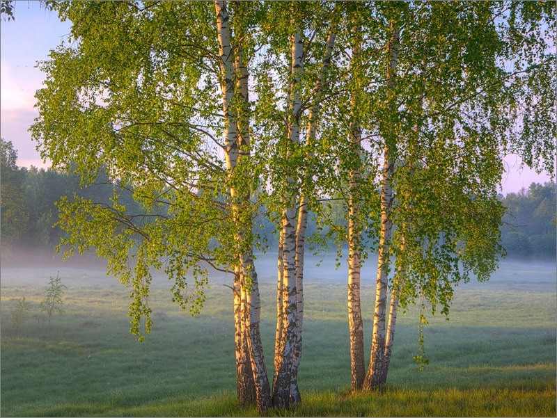 После дождя прекрасно прогуляться!