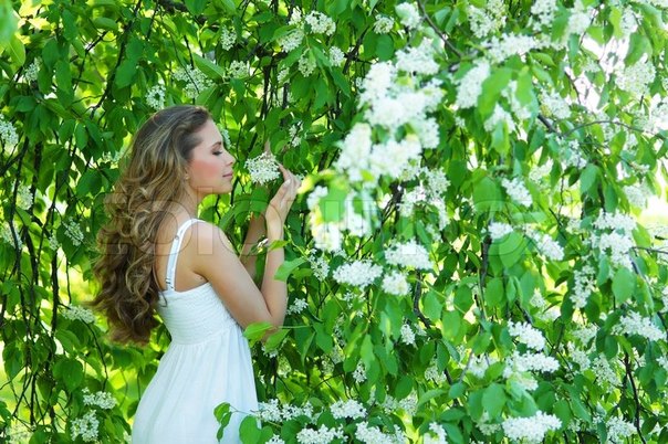 Черемуховый рай