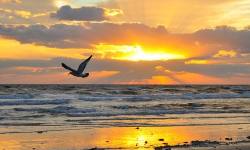 34 Не нарушаю тишины