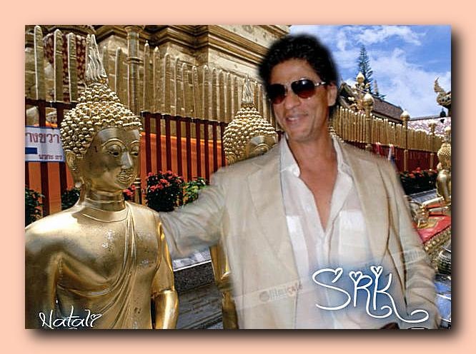 Цикл стихотворений Звезды индийского кино