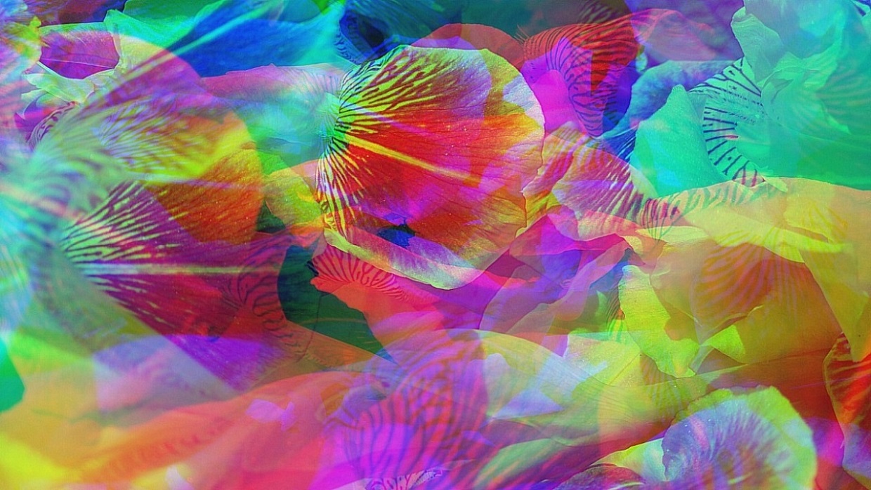 Вот! Истина! Вот!