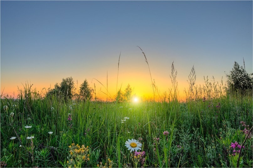 Утро с тобой...