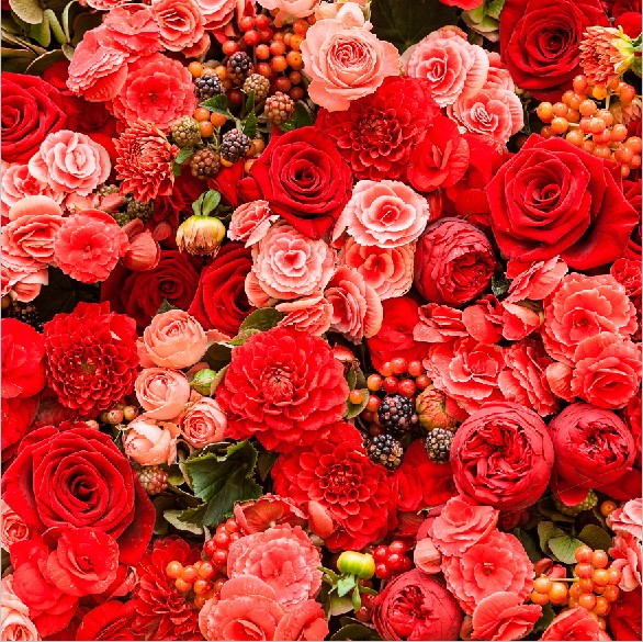 Розовое лето