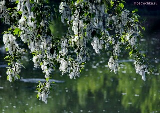 Холодное лето в Москве