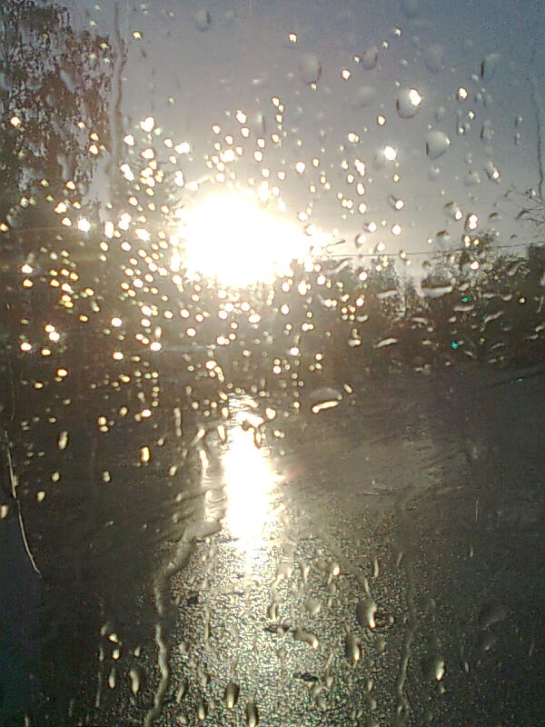 Солнце без дождя. Солнце сквозь дождь. Дождь и солнце. Дождик и солнце. Дождь в лучах солнца.