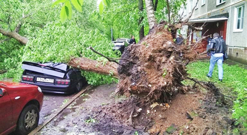 Мать-природа