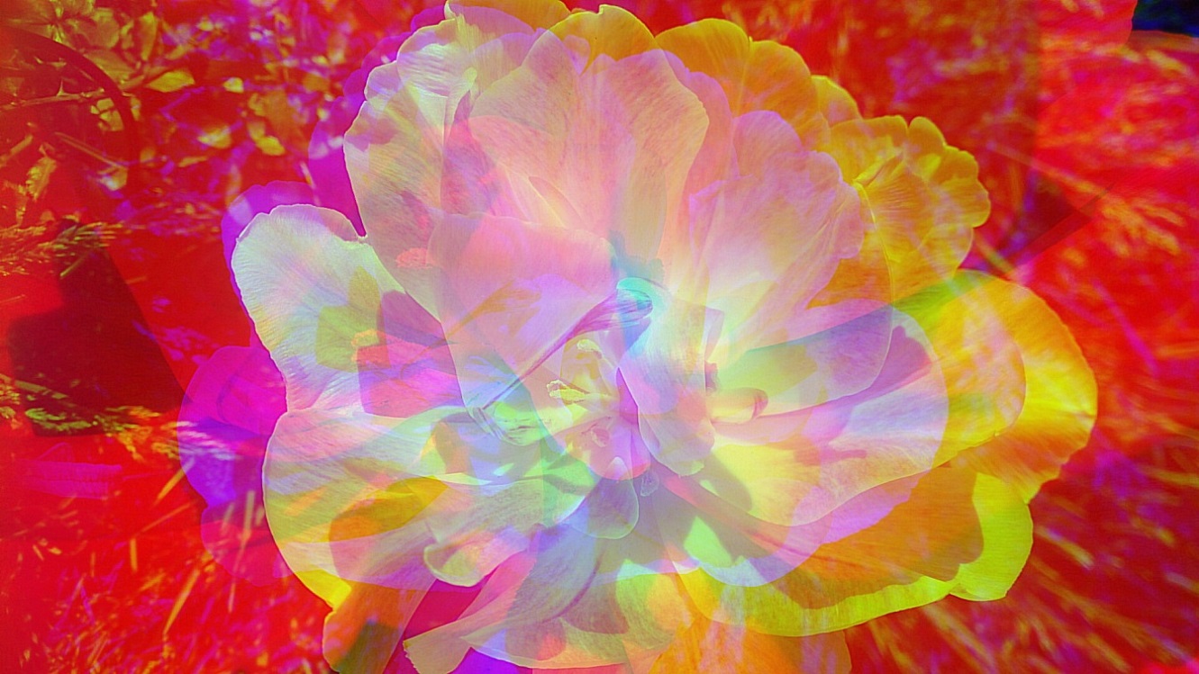 У слов растаяли границы тела!