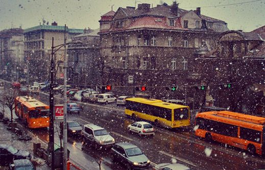 Декабрьский дождь