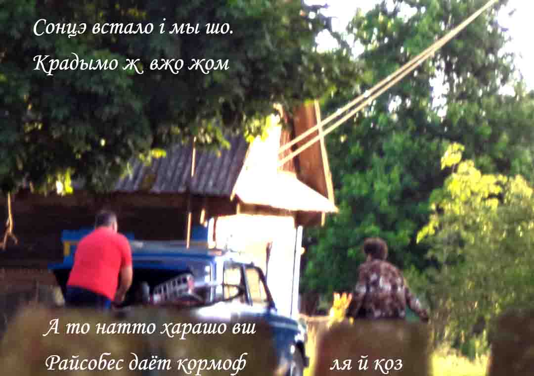 Миц чы е дэ в гурковы на нич