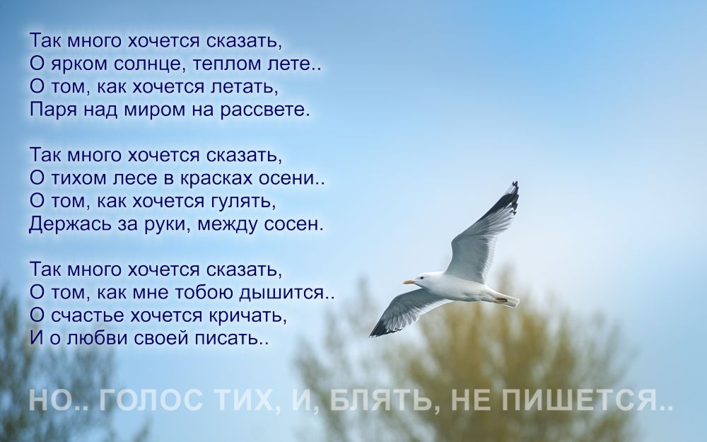 Так много хочется (Ян Ягмур) / Стихи.ру
