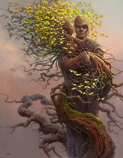 Они сплелись ветвями