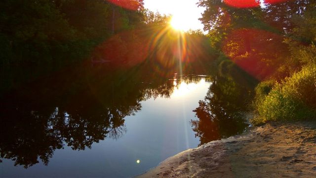 В золотом одеянии