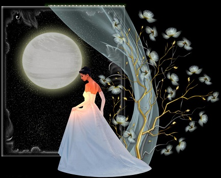 Целомудренная звезда