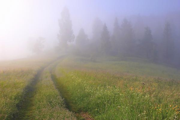 Не надо войны