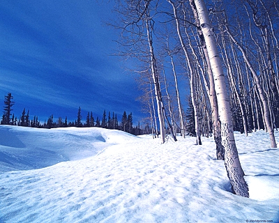 Апрельское