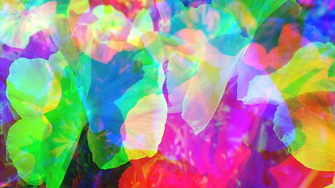 Оно начнет меня любить!