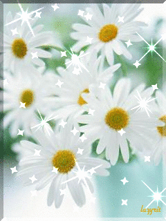 Гадала на любовь ромашка...