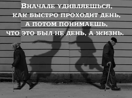 Жалеть не стоит