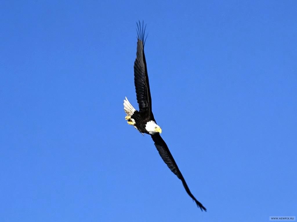 От высот до глубин