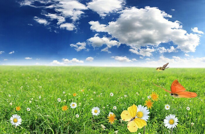 Если в душе твоей скорби...