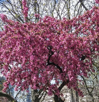 Поздравление Н. М